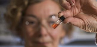 Research: Scientists discover the world’s oldest colors —