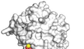 Research: Crystal structure reveals how curcumin impairs cancer —