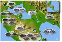 Research: Evolutionary outcomes can be predicted —