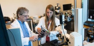 Study: Why some people get dizzy when hearing certain sounds — (Details)