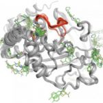 Study: The technique could help scientists develop methods for switching on or off specific proteins associated with diabetes and other diseases — (Details)