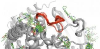 Study: The technique could help scientists develop methods for switching on or off specific proteins associated with diabetes and other diseases — (Details)