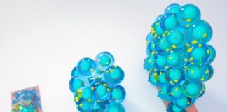 Research: Confined mature cells lose their specialized characteristics by sixth day and completely transition into re-deployable stem cells by 10th day —