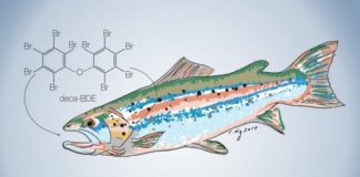 Research: Livestock feed accurately predicts toxic chemicals in food —