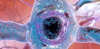 Study: Focus efforts on deadly shape-shifting tau protein — (Details)