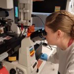 Study: Blood sample breakthrough good news for pregnant women — (Details)