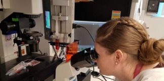 Study: Blood sample breakthrough good news for pregnant women — (Details)