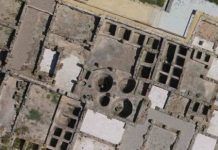 Research: Ancient bones from Roman archaeological sites reveal 2 whale species lost from the Mediterranean Sea —