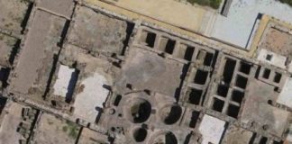 Research: Ancient bones from Roman archaeological sites reveal 2 whale species lost from the Mediterranean Sea —