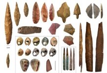 Research: Humans did not stem from a single ancestral population in one region of Africa —