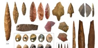 Research: Humans did not stem from a single ancestral population in one region of Africa —