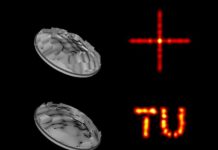 Tech: Researchers succeed in shaping terahertz beams with extremely high precision — (Report)