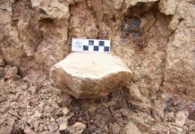 Research: Did humans leave Africa earlier than previously thought? Discovery of ancient tools in China —