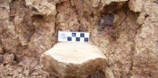 Research: Did humans leave Africa earlier than previously thought? Discovery of ancient tools in China —