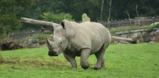 Research: New cryoprotective increases motility of sperm after thawing —