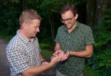 Research: Salamanders show more resistance to global warming than previously believed —