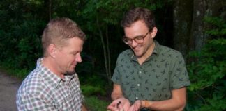 Research: Salamanders show more resistance to global warming than previously believed —