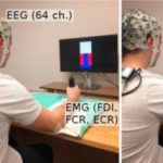 Study: Exercise increases brain connectivity and efficiency — (Details)