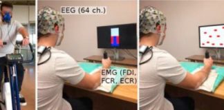 Study: Exercise increases brain connectivity and efficiency — (Details)