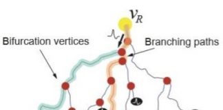Study: Why are neuron axons long and spindly? Study shows they’re optimizing signaling efficiency — (Details)