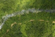 Research: NASA surveys hurricane damage to Puerto Rico’s forests —