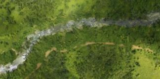 Research: NASA surveys hurricane damage to Puerto Rico’s forests —