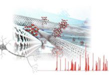 Research: Molecular/carbon nanotube network devices enable artificial spiking neurons that mimic nerve impulse generation —
