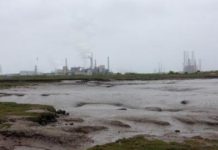 Research: Geological records reveal sea-level rise threatens UK salt marshes, study says —