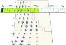 Tech: Eight new rare isotopes discovered in total — (Report)
