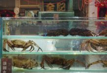 Offbeat: Could we be in hot water? —