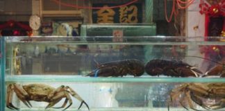 Offbeat: Could we be in hot water? —