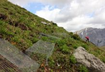 Research: New University of Guelph research dispells the myth that climate change is enabling treelines to move farther uphill and northward —