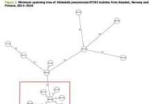 Research: OXA-48-producing Klebsiella pneumoniae ST392 found in 13 patients previously hospitalized in Gran Canaria —