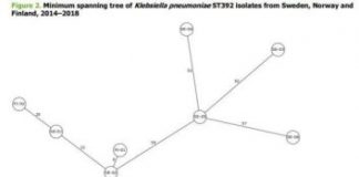 Research: OXA-48-producing Klebsiella pneumoniae ST392 found in 13 patients previously hospitalized in Gran Canaria —