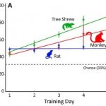 Study: Work could have important implications for translational research — (Details)