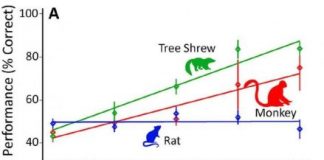Study: Work could have important implications for translational research — (Details)