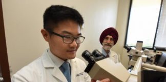 Study: Looking at the urine and blood may be best in diagnosing myeloma — (Details)