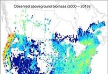 Research: Gains of only 22 percent over the next six decades represent best-case scenario —