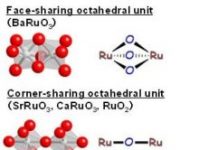 Tech: Barium ruthenate: A high-yield, easy-to-handle perovskite catalyst for the oxidation of sulfides: – – (Report)