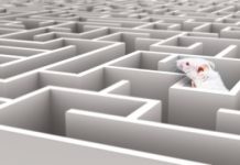 Research: Sunk cost fallacy in mice, rats and humans —