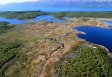 Research: Genetic details could improve predictions, guide efforts to slow damage —