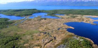 Research: Genetic details could improve predictions, guide efforts to slow damage —