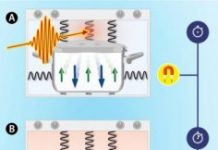 Tech: What happens when we heat the atomic lattice of a magnet all of a sudden? — (Report)