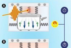 Tech: What happens when we heat the atomic lattice of a magnet all of a sudden? — (Report)