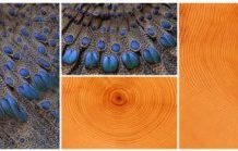 Tech: Researchers to present new tool, much needed by virtual world artists, at SIGGRAPH 2018 — (Report)