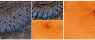 Tech: Researchers to present new tool, much needed by virtual world artists, at SIGGRAPH 2018 — (Report)