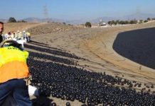 Research: Using ‘shade balls’ in reservoirs may use up more water than they save —