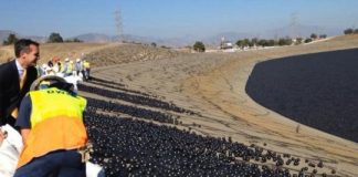 Research: Using ‘shade balls’ in reservoirs may use up more water than they save —