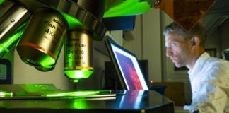 Study: Reward and unease are closely linked in the brain — (Details)