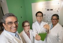 Research: Next step could be ‘nitrogen-fixing’ plants that can do the same, reducing the need for fertilizer —